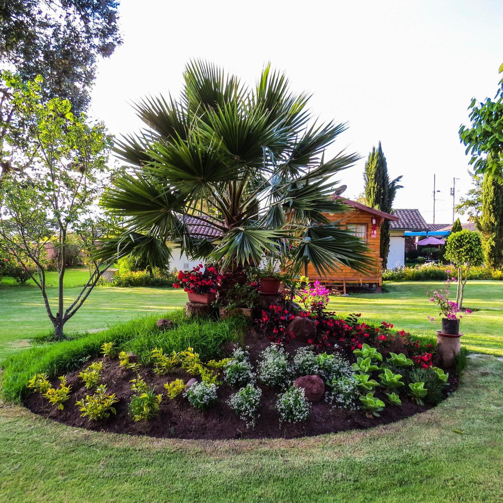 Hosteria Airport Garden تابابيلا المظهر الخارجي الصورة